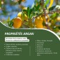 Organic Argan Oil