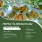 Pack Huiles Démaquillantes et Nettoyantes - Soins Naturels Bio pour Peau Propre et Hydratée Pack Huiles Démaquillantes et Nettoyantes - Soins Naturels Bio pour Peau Propre et Hydratée