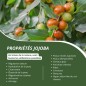 Pack Huiles Démaquillantes et Nettoyantes - Soins Naturels Bio pour Peau Propre et Hydratée Pack Huiles Démaquillantes et Nettoyantes - Soins Naturels Bio pour Peau Propre et Hydratée